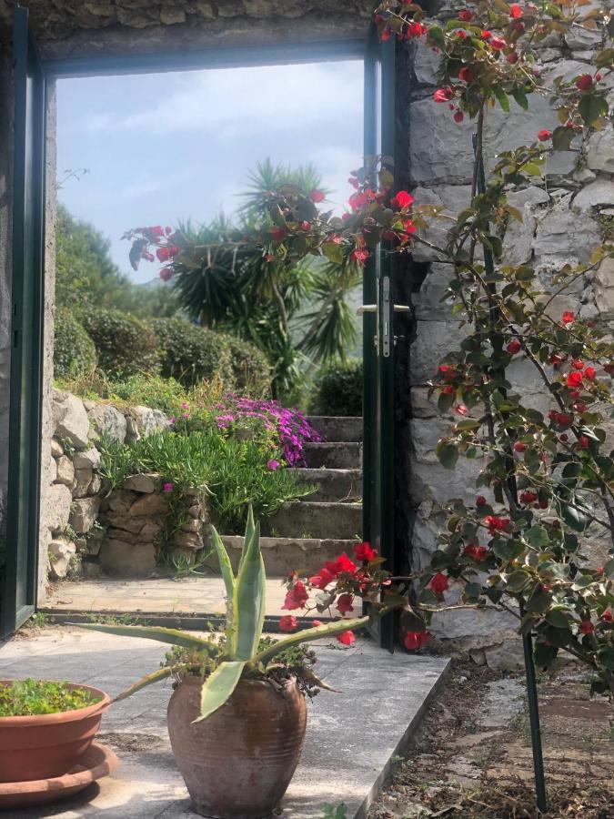 Charming Apartment For 3 Pax In קאבטאט מראה חיצוני תמונה